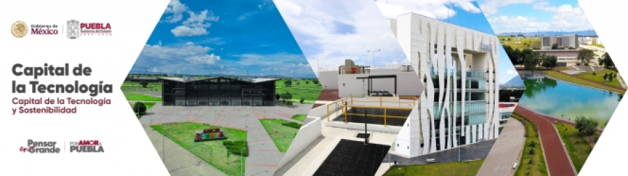 Vive Capital de la Tecnolog&iacute;a y Sostenibilidad